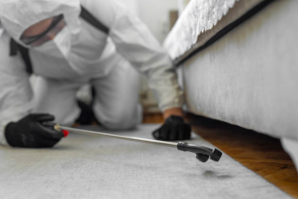Professional Emergency Pest Control technician working in Clear Lake Shores, TX