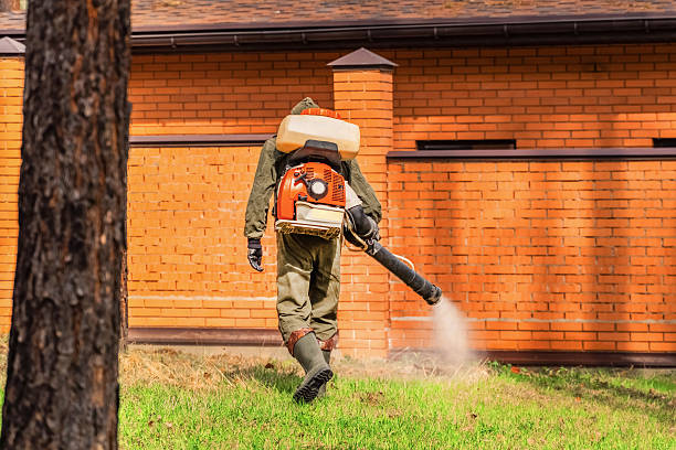 Trusted Cockroach Control service in Clear Lake Shores, TX - Nex Pest Control